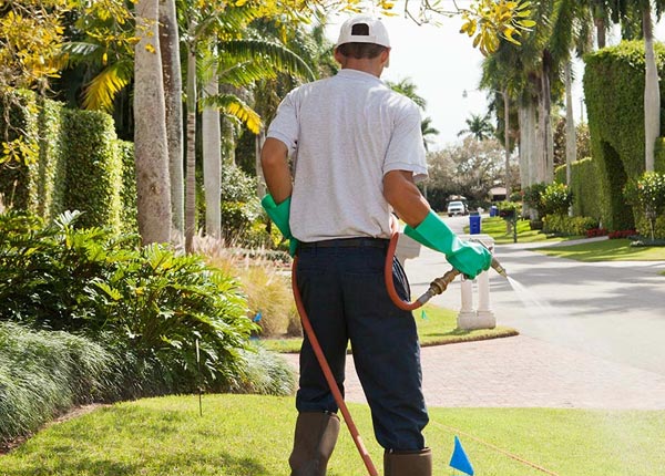 About Adah PA Pest Control Pros